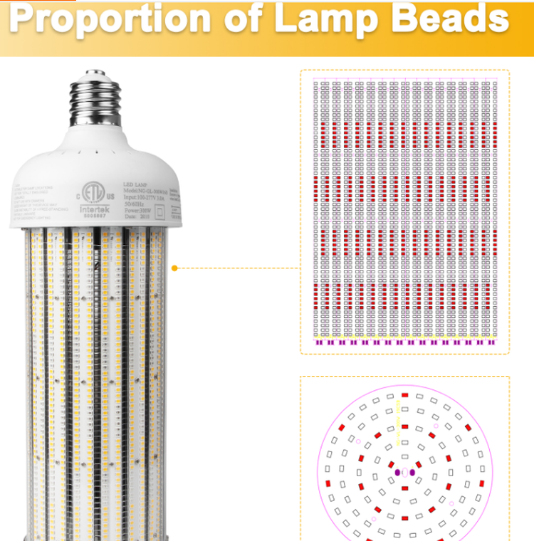 product-666-675 product-666-675