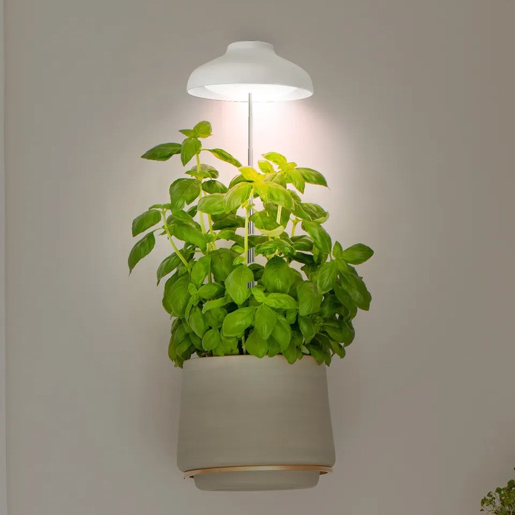 umbrella grow light umbrella grow light