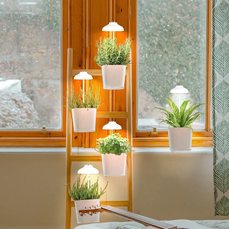 umbrella grow light 5 umbrella grow light 5