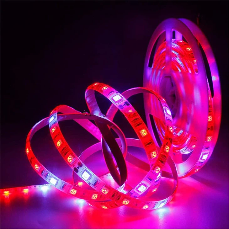 5050 Full Spectrum Led Strip Grow Light For Plant Growth