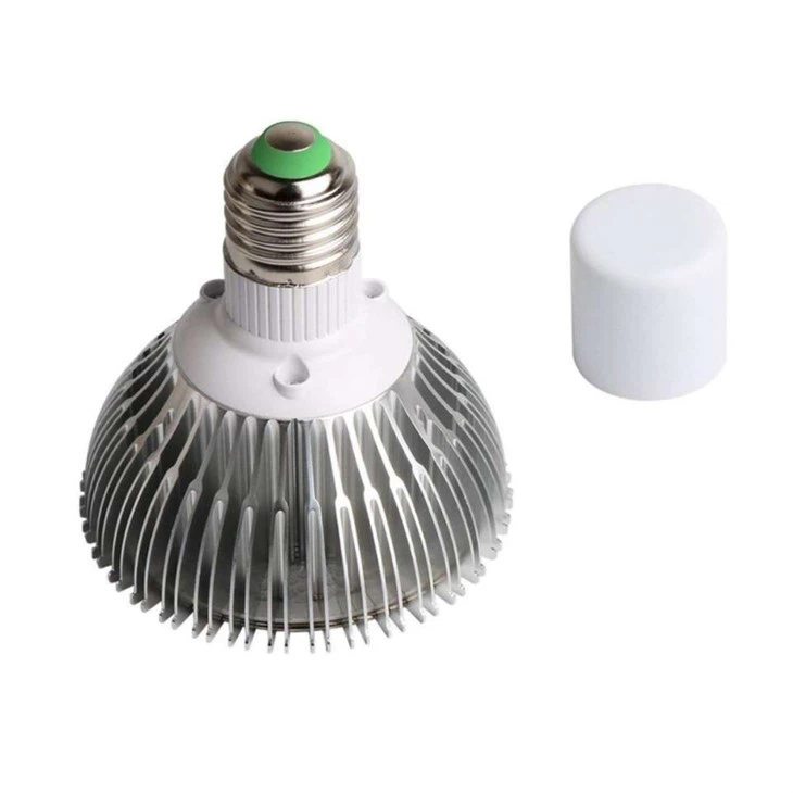 Bulbs For Indoor Plants