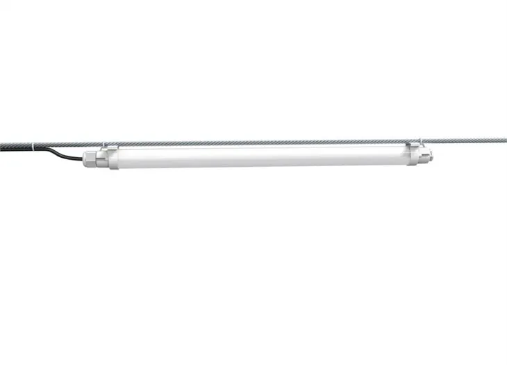 Zaman Ayarlı Tavuk Işığı