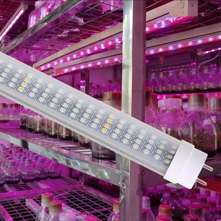 İç Mekan Bitkileri İçin Lamba Büyütün