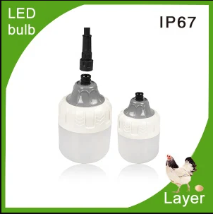 LED Bulb Light For Poultry Farm