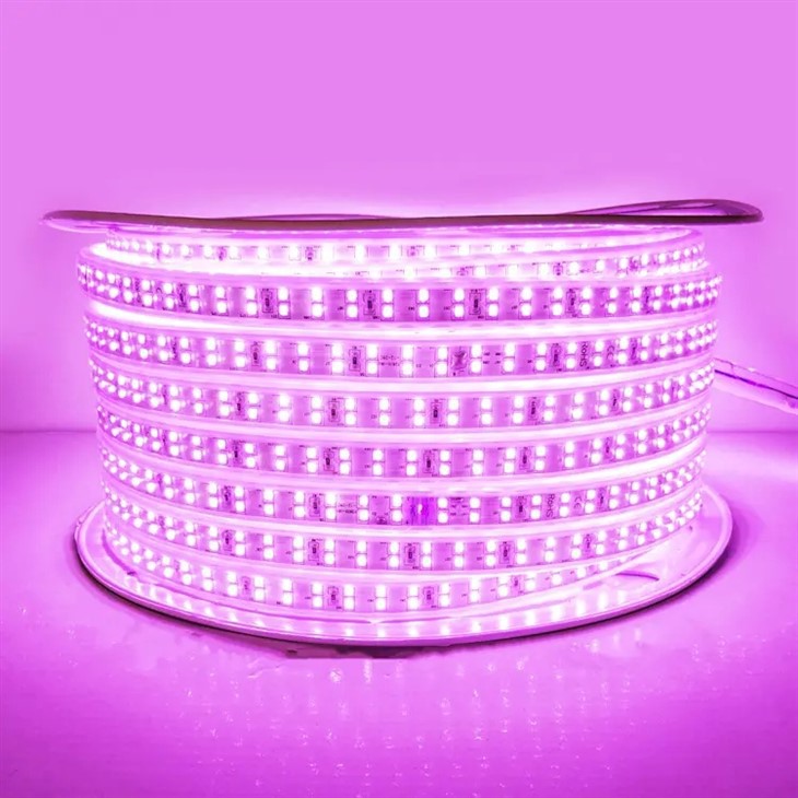 Led Strip 10m