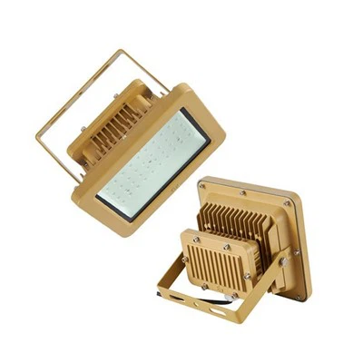 100w Patlamaya dayanıklı LED Çalışma Işığı-Sel Aydınlatma