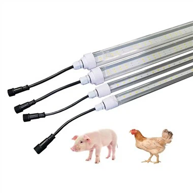 48 Volt Led Tüp