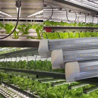 5000 Lümen İç Mekanda Büyüyen Bitkiler Led