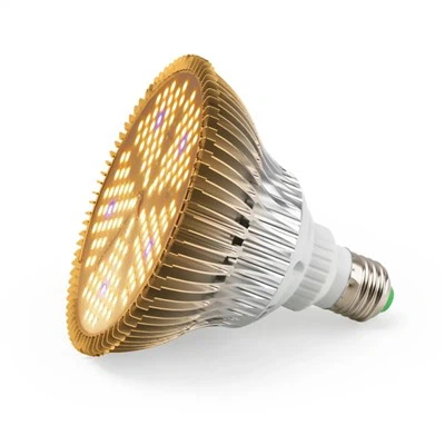 Ampul Büyüyen Işık