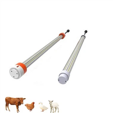 Civciv Brooder Aydınlatma