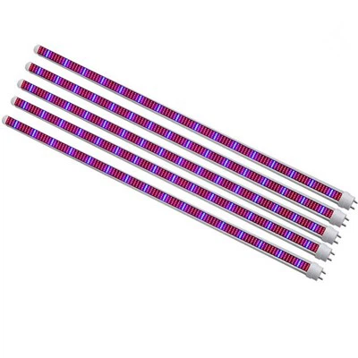 Işık Bahçesini Büyütün