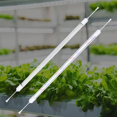 Kapalı Bahçe Işık