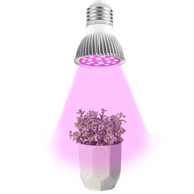 Kapalı Bitki Ampulü