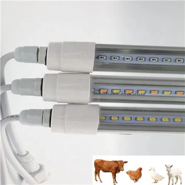 Civcivler İçin Kızılötesi Işıklar