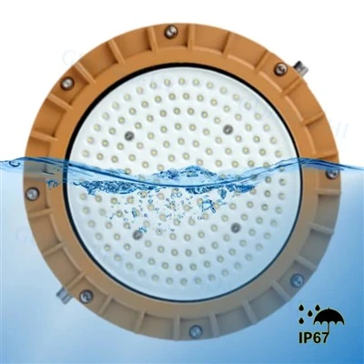 IP65 Bridgelux Chip Led Patlama Korumalı Işıklar