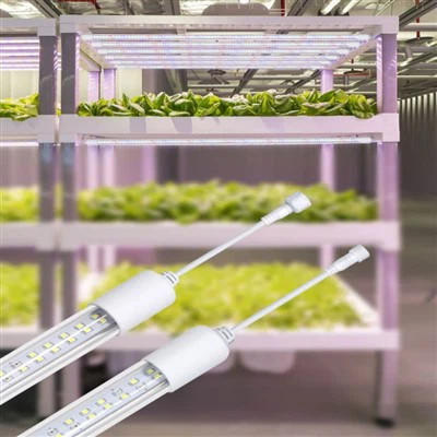 Çiçeklenme Aşaması İçin Led Işıklar