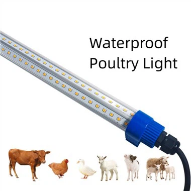 Kümes Led Aydınlatma