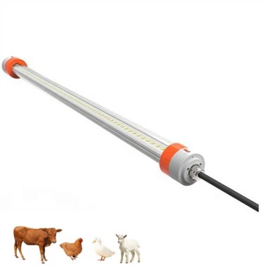 Tavuk Kümesi İçin Yırtıcı Hayvan Işıkları