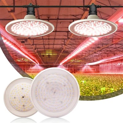 UFO LED İç Mekan Bitkileri İçin Işık Büyütüyor