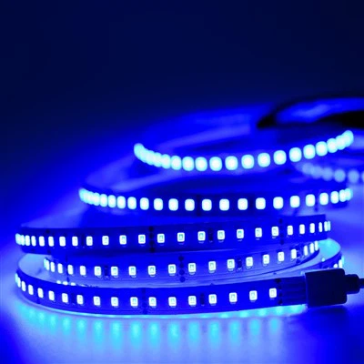 Su geçirmez IP68 LED Şerit Işıklar Mavi