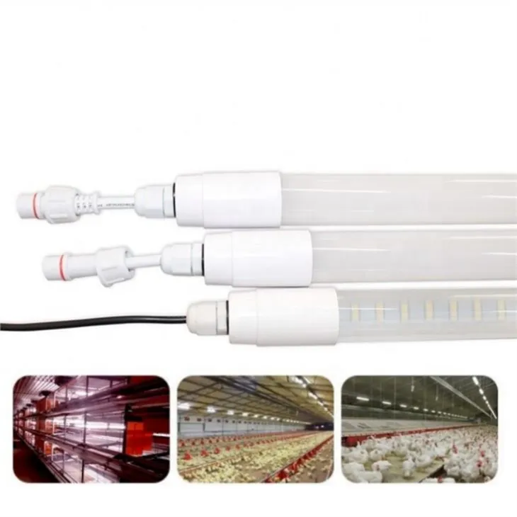 120cm 20W Chicken Lighting