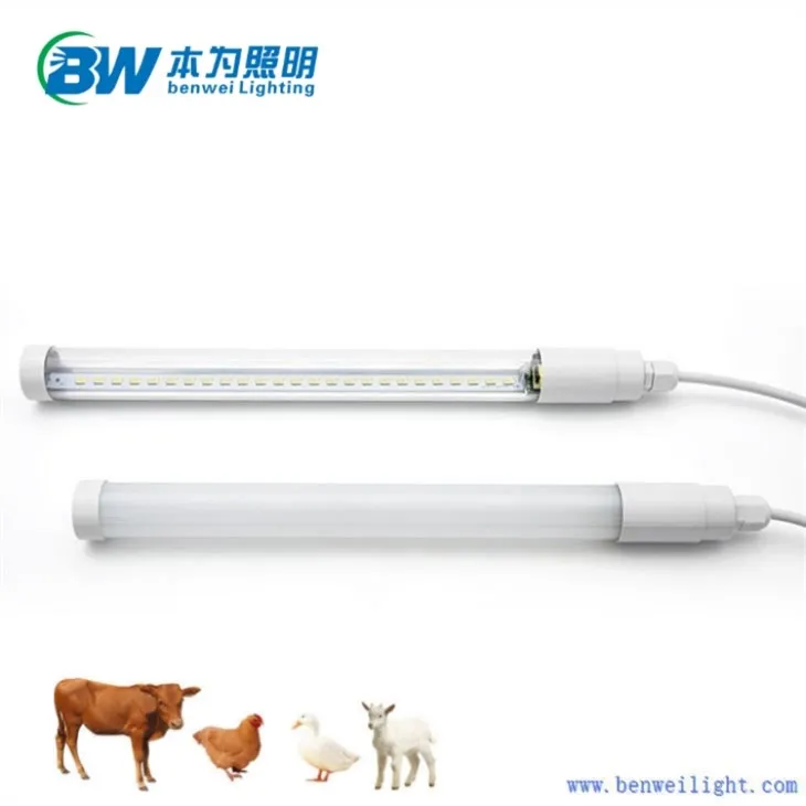 2ft Led Chicken Lighting