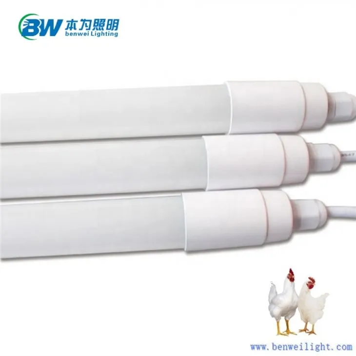 2ft Led Chicken Lighting