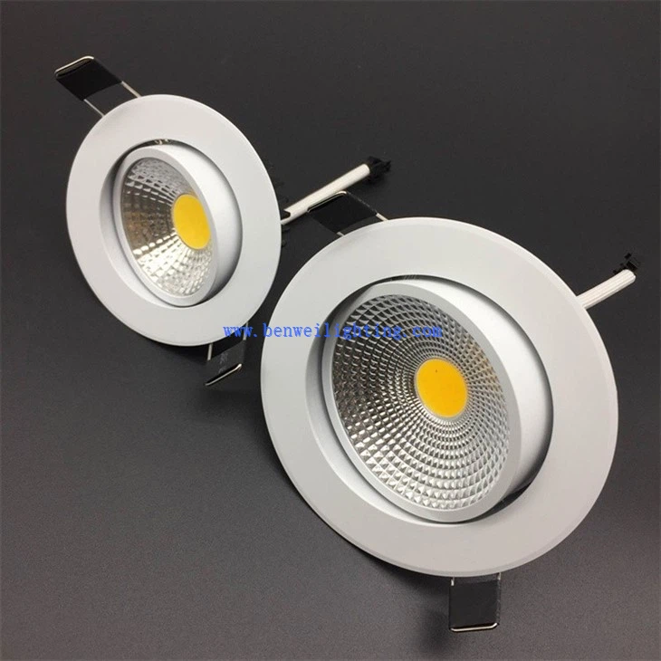 Aluminum Frame Ceiling Down Light (5)