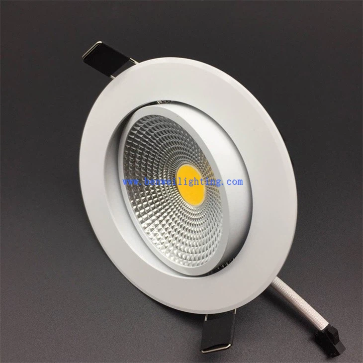 Aluminum Frame Ceiling Down Light (2)