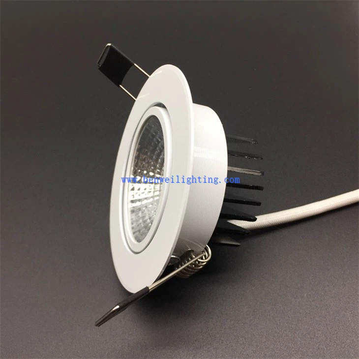 Aluminum Frame Ceiling Down Light (3)