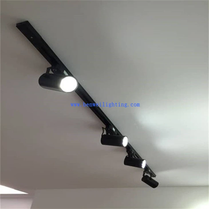 Black Track Light (4)