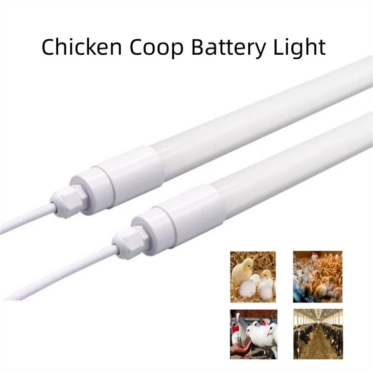 Chicken Light With 0-12V 5100K 15W 20W