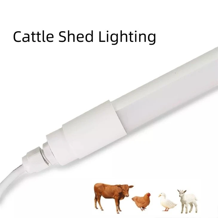 Chicken Light With 0-12V 5100K 15W 20W