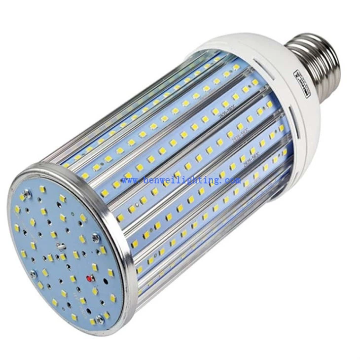 Cold White Corn Light (2)