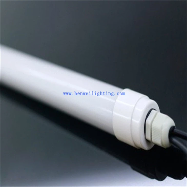 Dairy Farm Poultry Lamp (1)