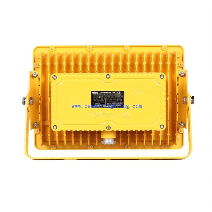 Explosion proof light led (1)
