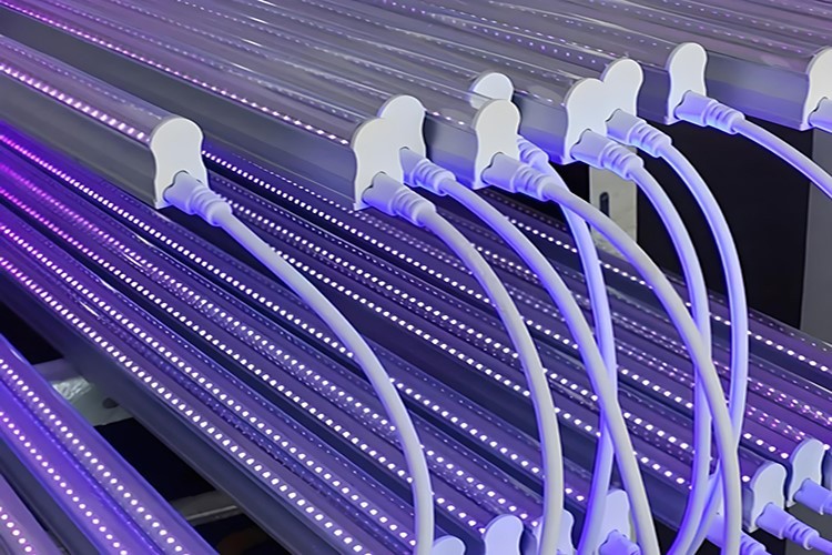 led blacklight led blacklight