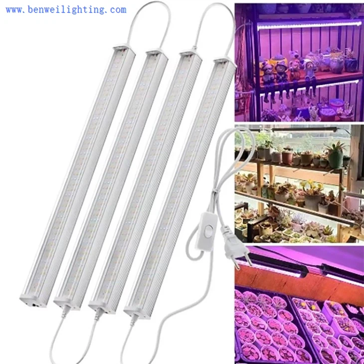 Bitki büyümesi için hangi renk LED en iyisidir?