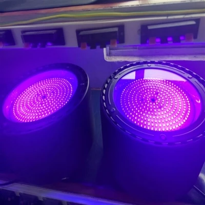 Fotokimyasal Katalizde 310nm UVB LED Lambalar: Yeni Nesil Yüksek-Verimli Işık...