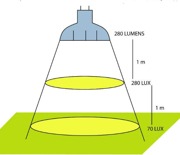 info-616-533 info-616-533