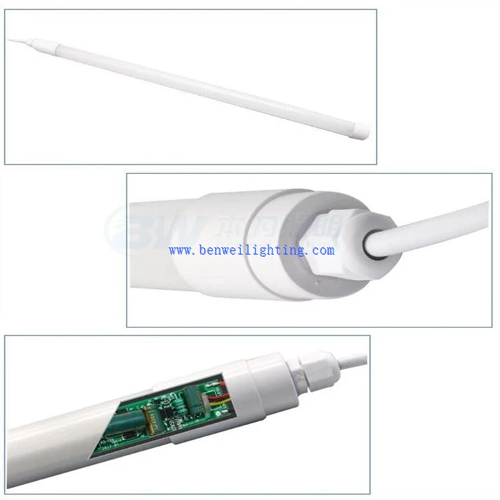 Integrated Poultry Lamp (5)
