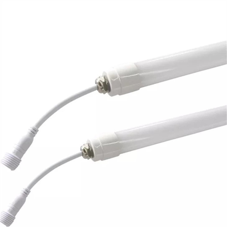 Light For Egg Laying