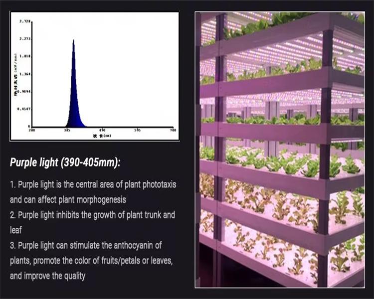 indoor herb garden with grow light indoor herb garden with grow light