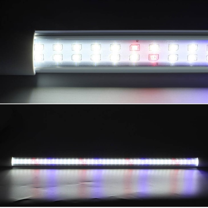 Red Blue Grow Lights
