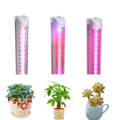 Sera Bitkisi Yetiştirme LED Işığı İçin Tam Spektrum