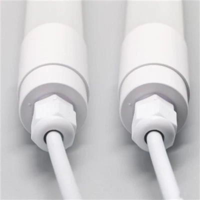 Kümes Hayvanları İçin LED Işık