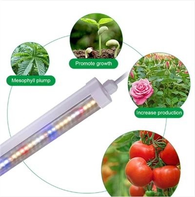 T8 Büyüyen Lamba Led İç Mekan Büyüme Işığı