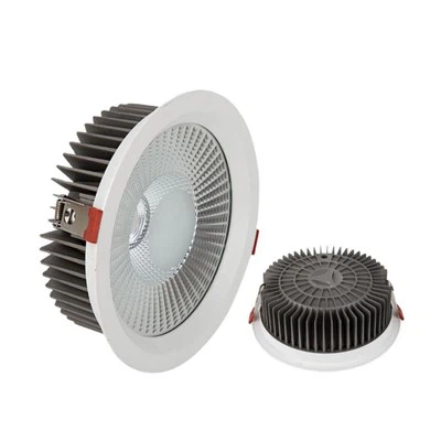 Sesli Asistan Entegrasyonu LED Downlight