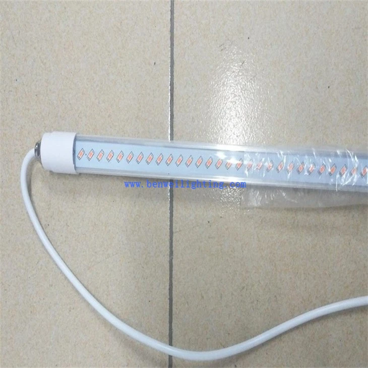 Vapor Tight Light For Chicken Farms (4)
